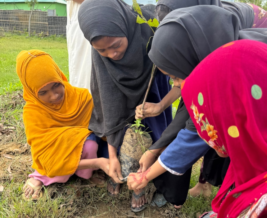 Jeunes filles plantant un arbre ensemble sur un terrain herbeux, lors d’une activité éducative et solidaire