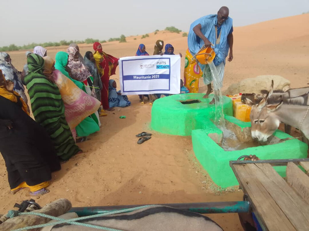 Puits en Mauritanie financé par Les P'tits Villages d'Afrique - villageois et animaux s'abreuvant d'eau potable dans le désert